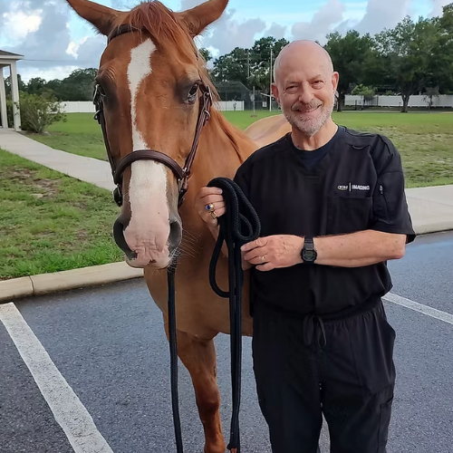 A man with a horse